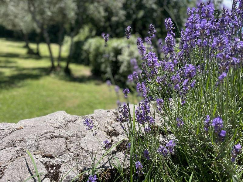 Il Bruco B&B image