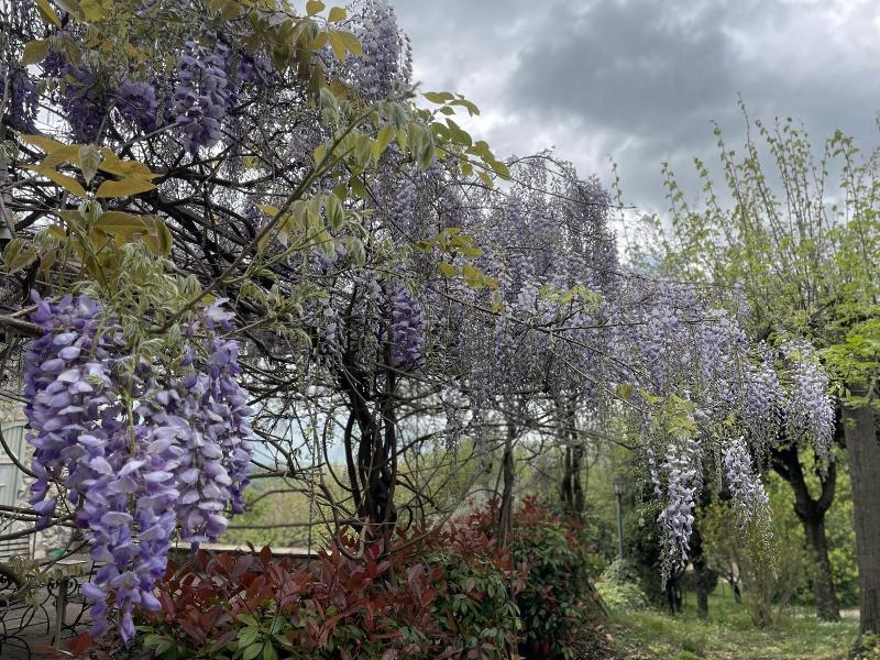Il Bruco B&B image