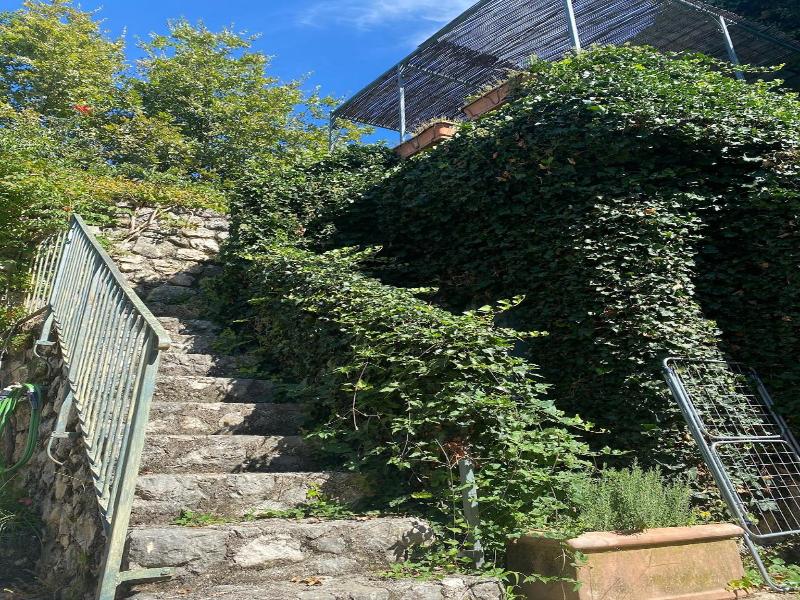 Il Bruco B&B image