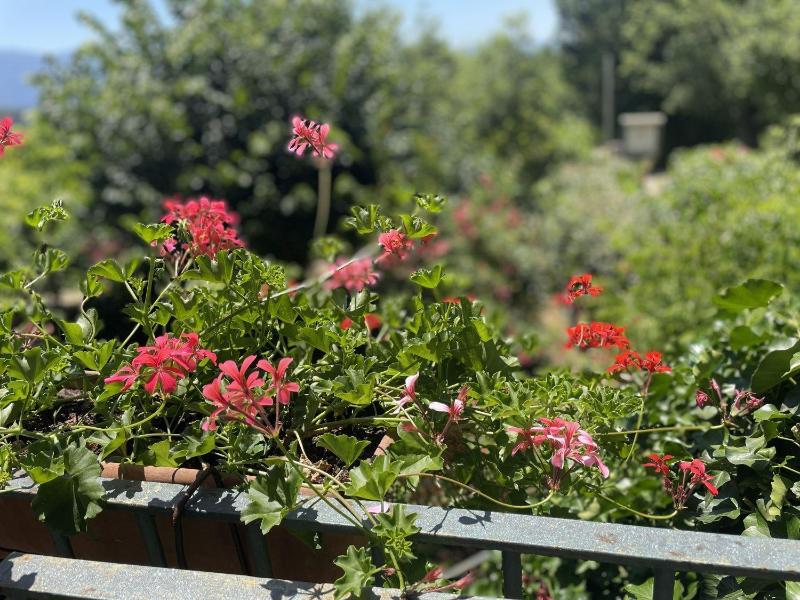 Il Bruco B&B image