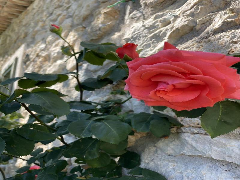 Il Bruco B&B image