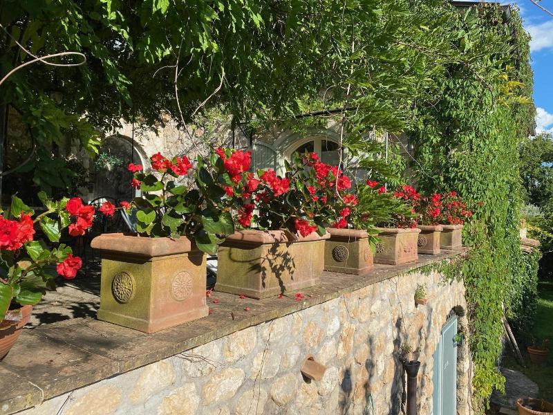 Il Bruco B&B image