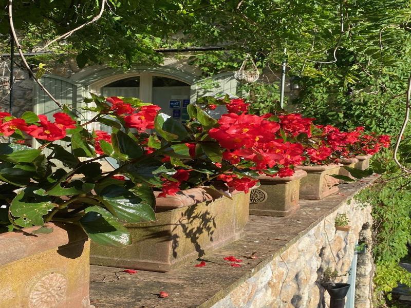 Il Bruco B&B image