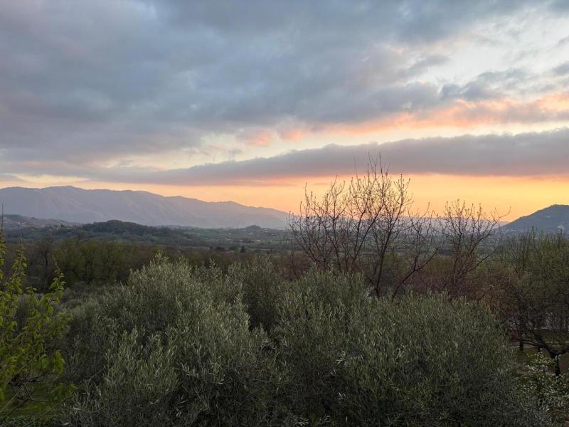 Il Bruco B&B image