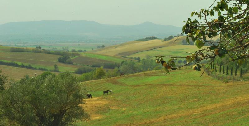 Agriturismi Farina image