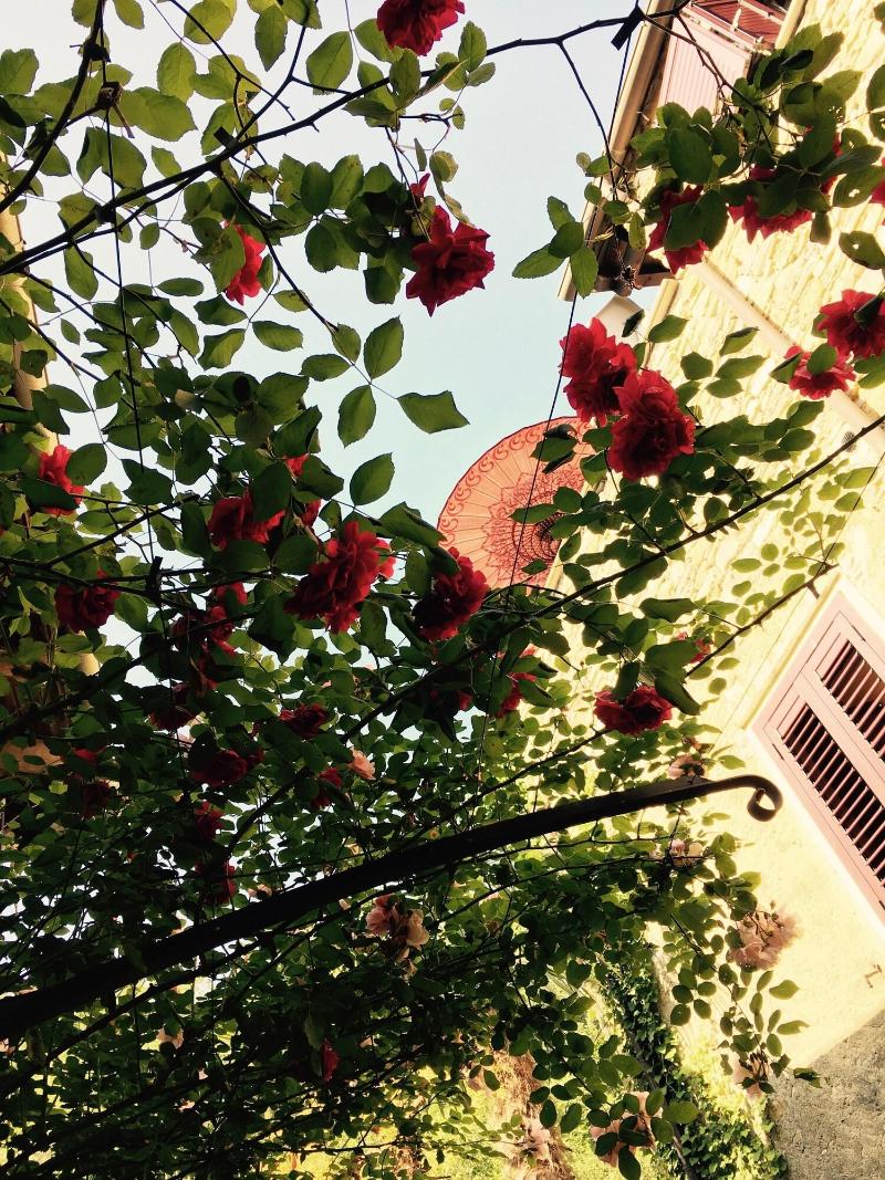 Borgata Cantone Country House B&B image