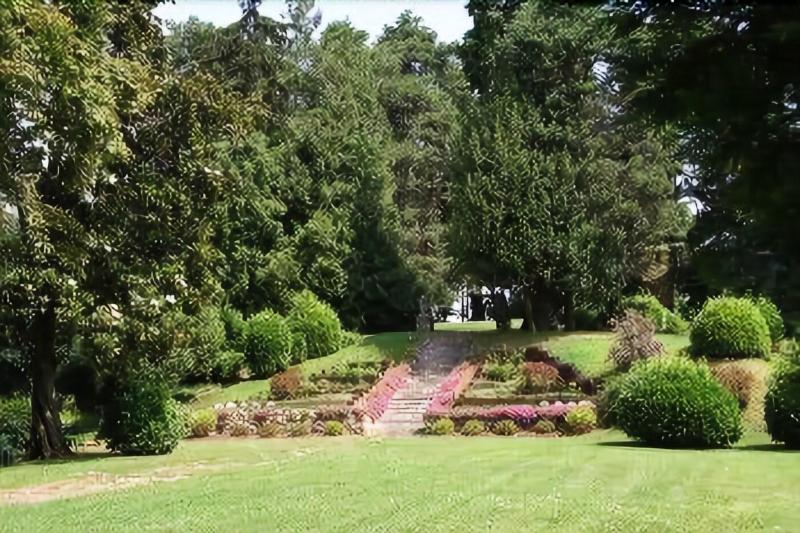 Villa Bregana image