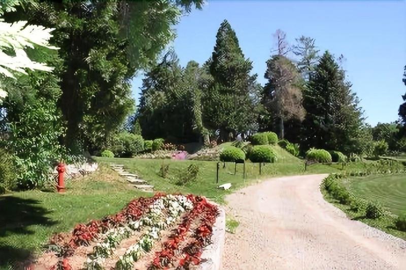 Villa Bregana image