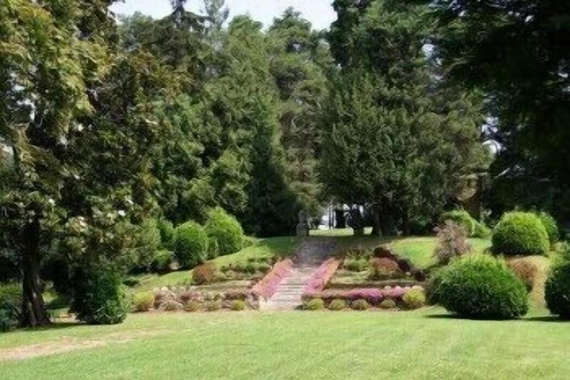 Villa Bregana image