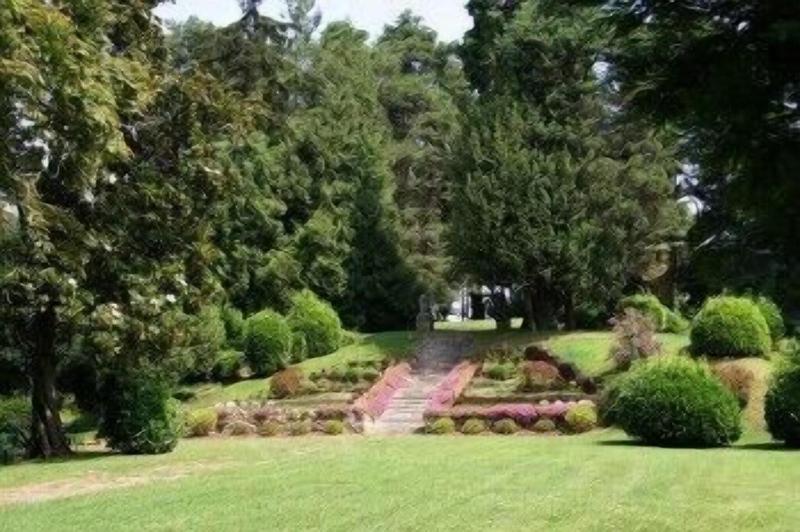 Villa Bregana image