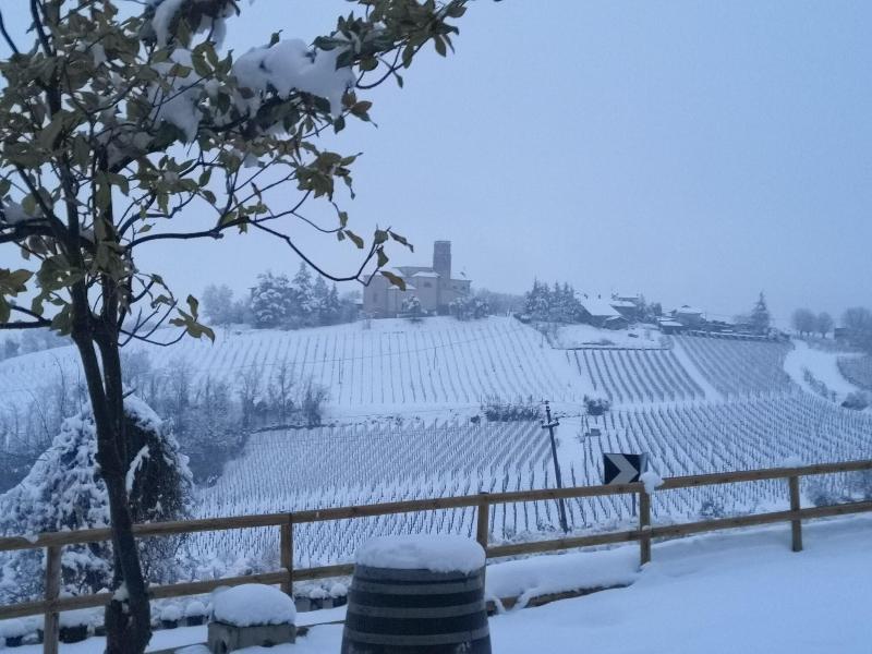 700Enolocanda — general view