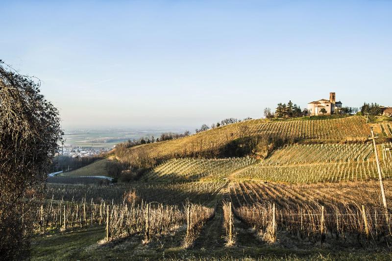 700Enolocanda image
