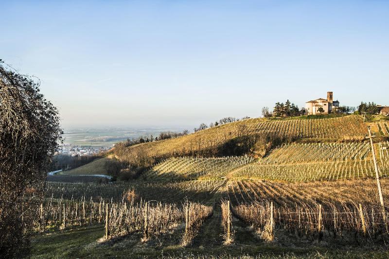 700Enolocanda image