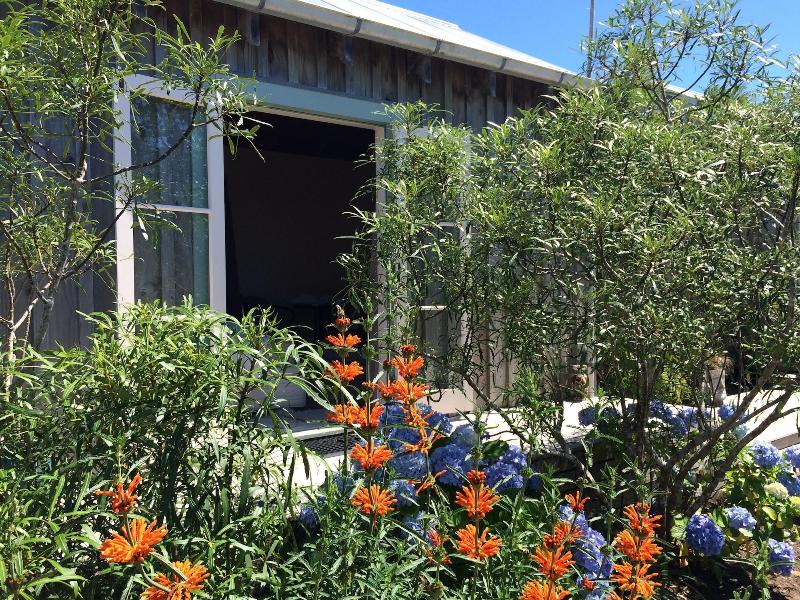 Mangawhai Chalets 3