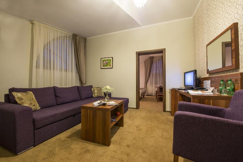 Wellness Hotel Spark image