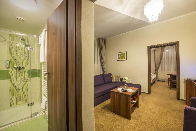 Wellness Hotel Spark image