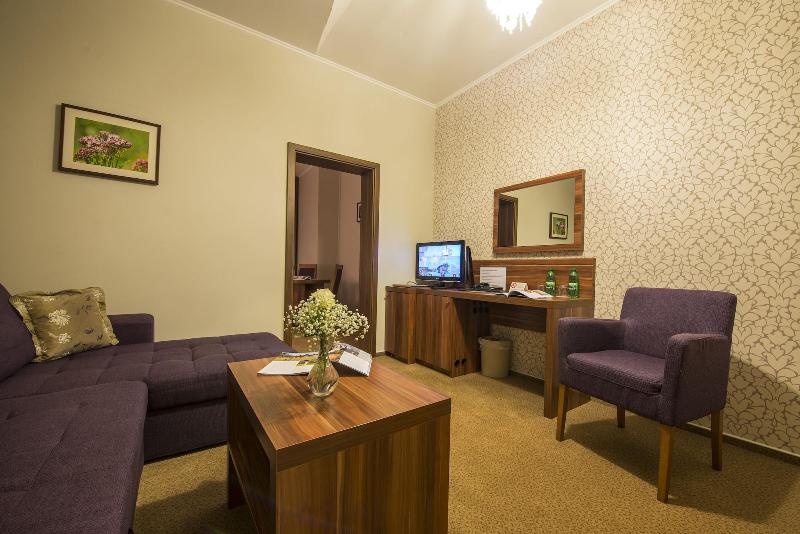 Wellness Hotel Spark image