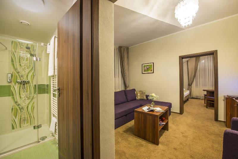 Wellness Hotel Spark image