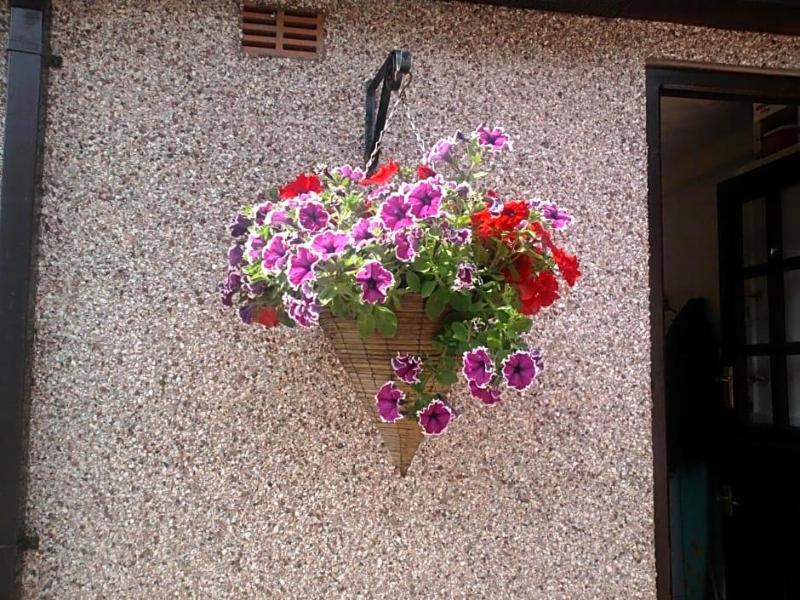 Lon Y Traeth Bed & Breakfast image