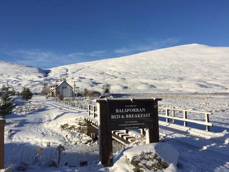 Balsporran Bed And Breakfast image