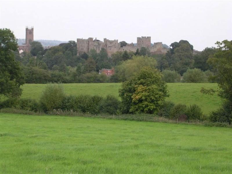 The Cliffe At Dinham image