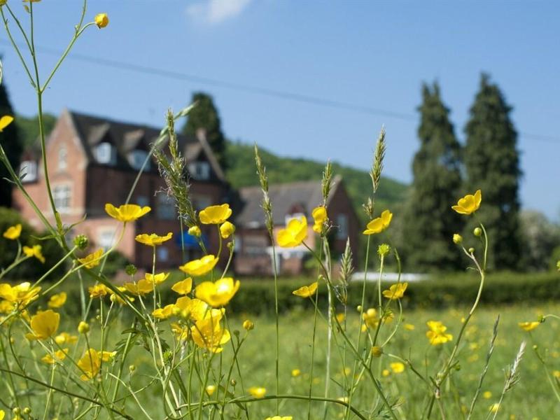 The Cliffe At Dinham image