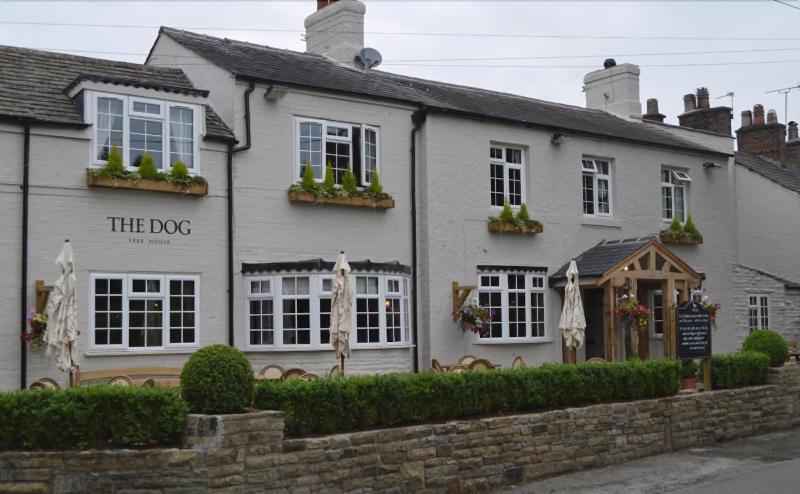 The Dog At Peover image