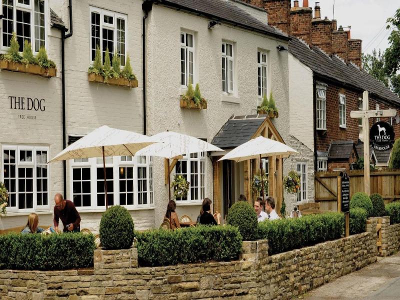 The Dog At Peover image