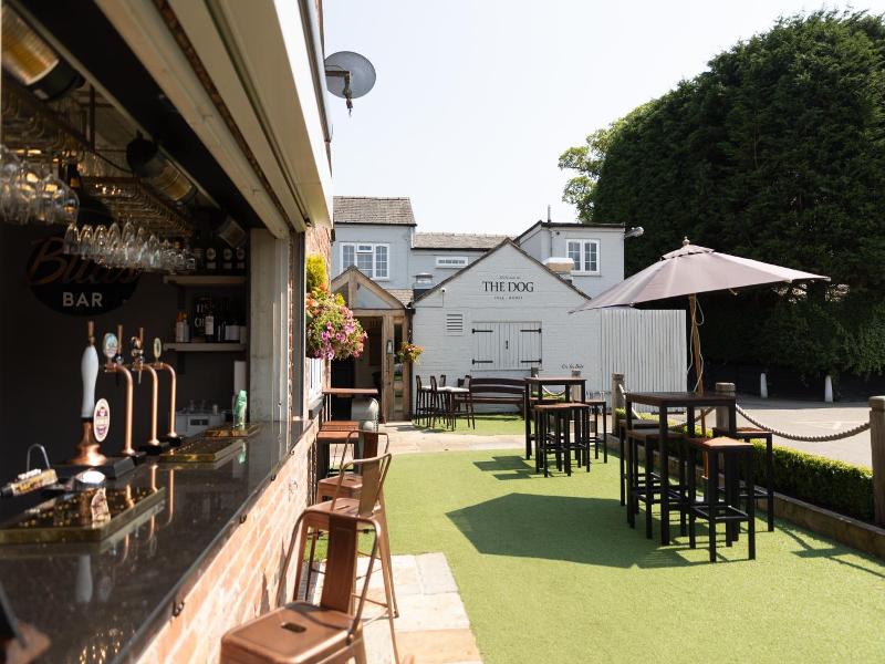 The Dog At Peover image