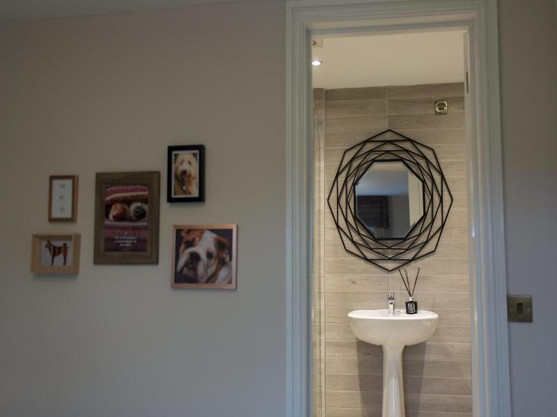 The Dog At Peover image