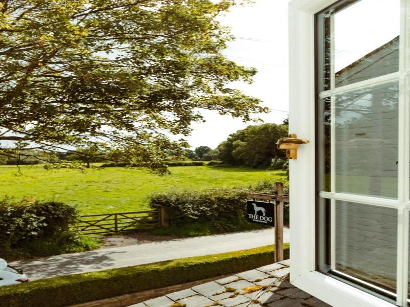 The Dog At Peover image