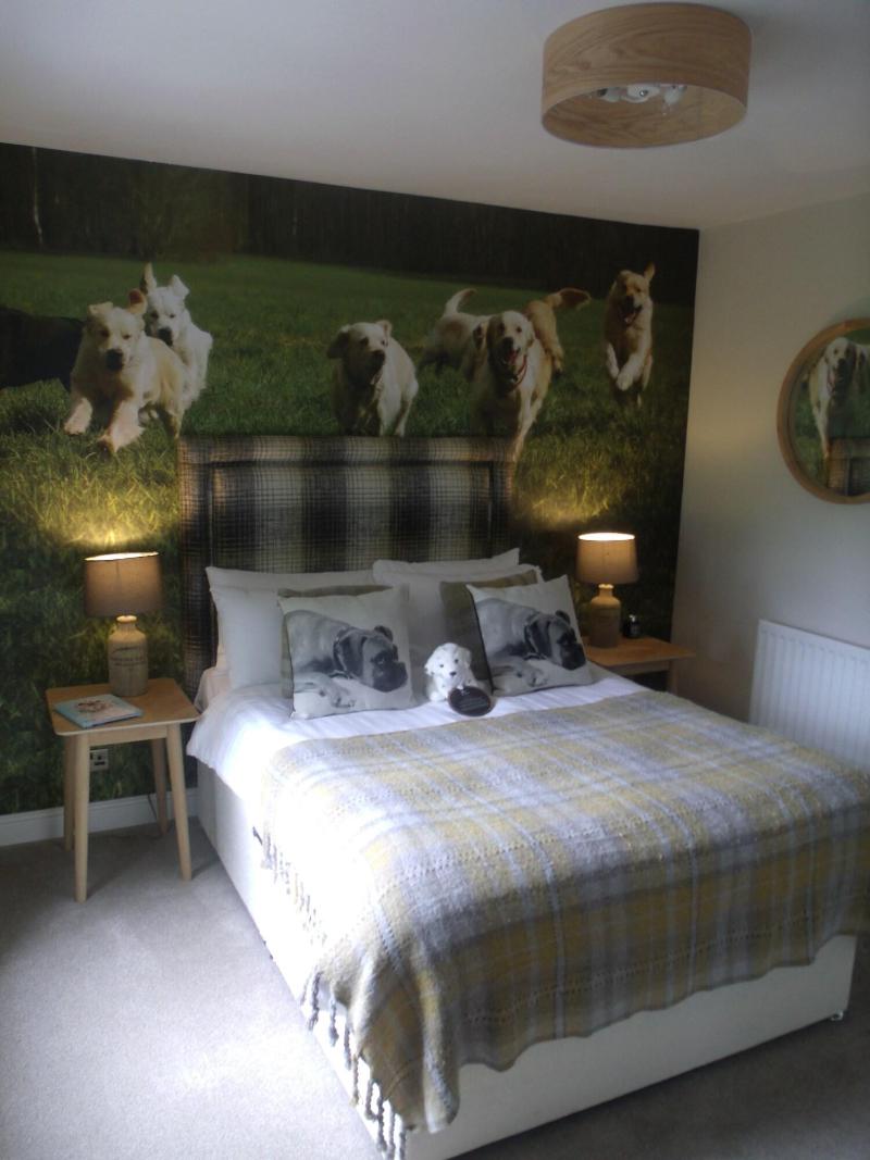 The Dog At Peover image