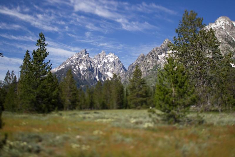 Jenny Lake Lodge image