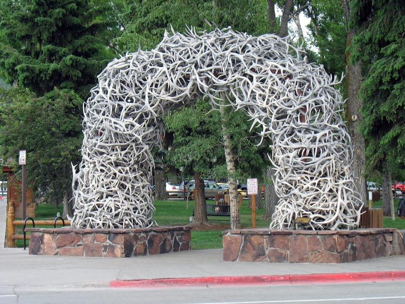 Jenny Lake Lodge image