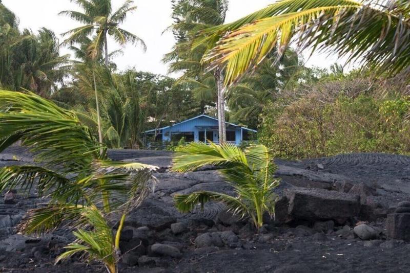 Ma'ukele Lodge photo 5