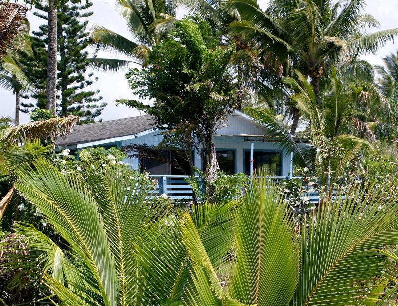 Ma'ukele Lodge image