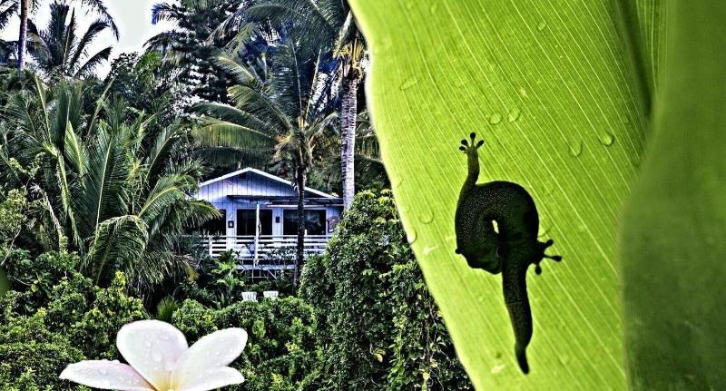Ma'ukele Lodge image