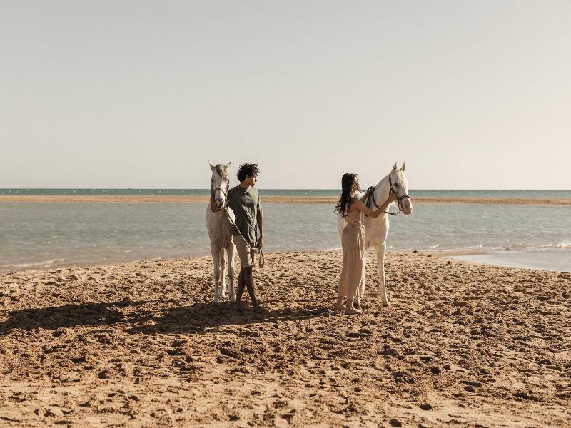 Casa Cook El Gouna image