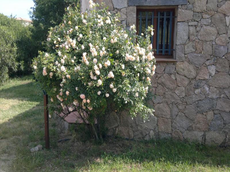 B&B Arghjola image