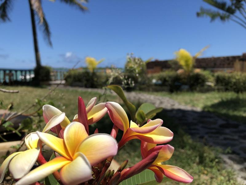 Coco Villa image