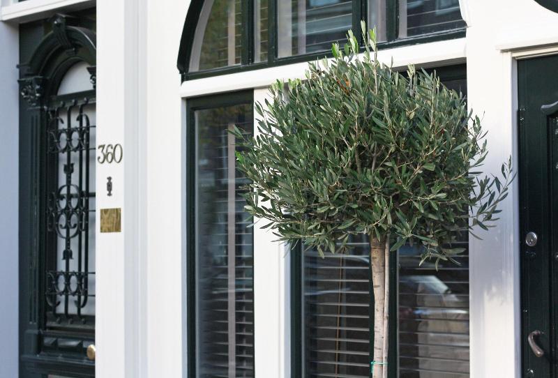 Villa360 image