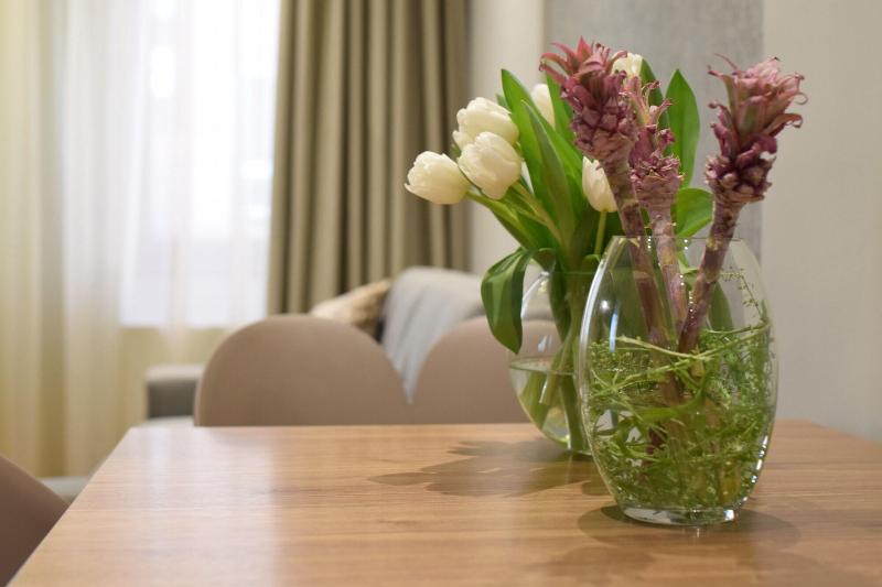 NV Luxury Suites & Spa image