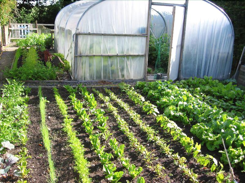 The Old Vicarage Dolfor