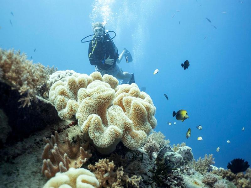 Manta Dive Resort Gili Air image