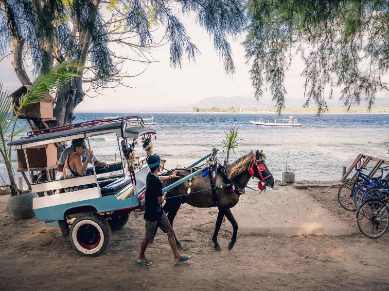 Manta Dive Resort Gili Air image