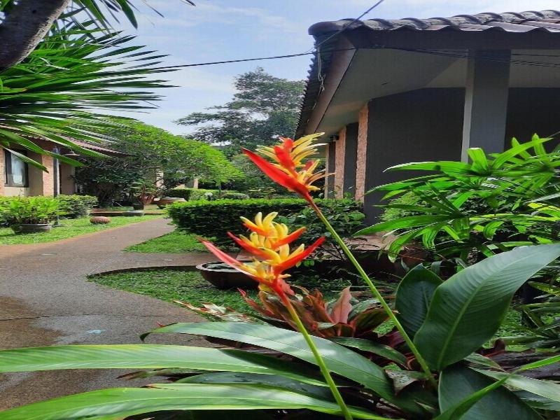Floraville Phuket Resort image