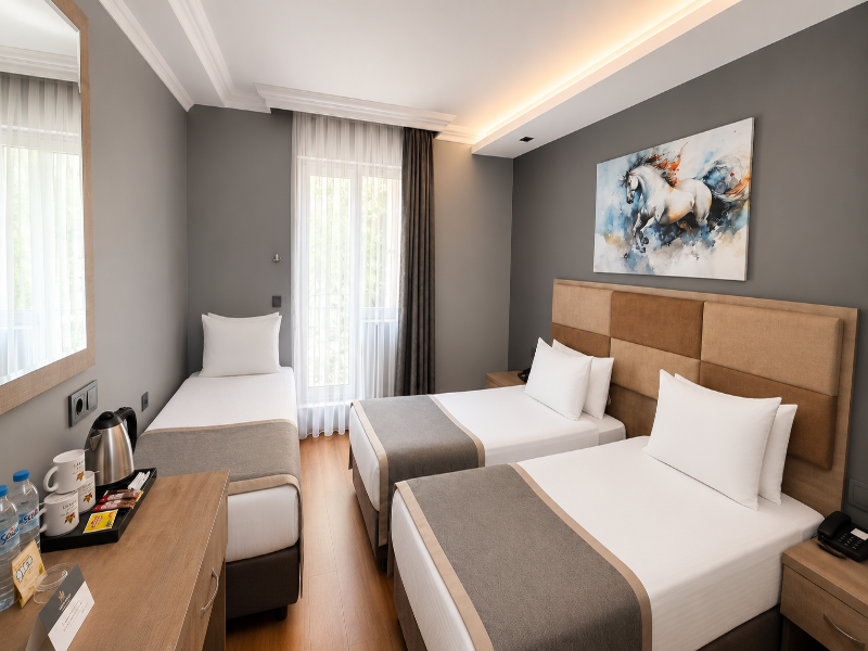 Ankara Royal Hotel image