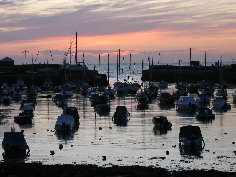 Harbourmaster image