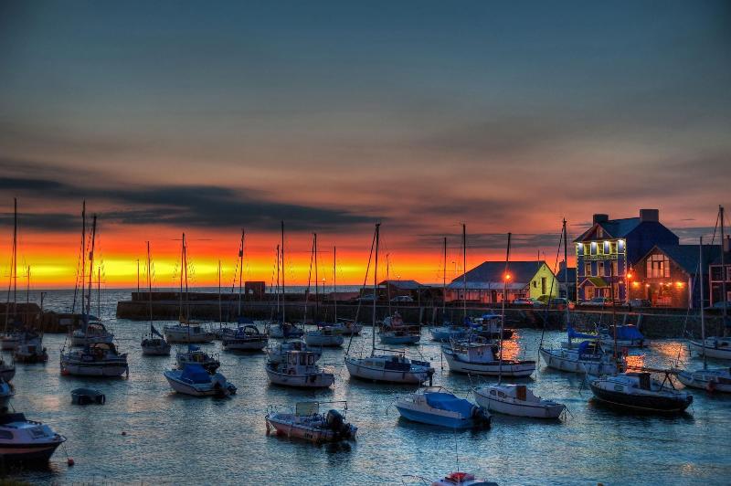 Harbourmaster image