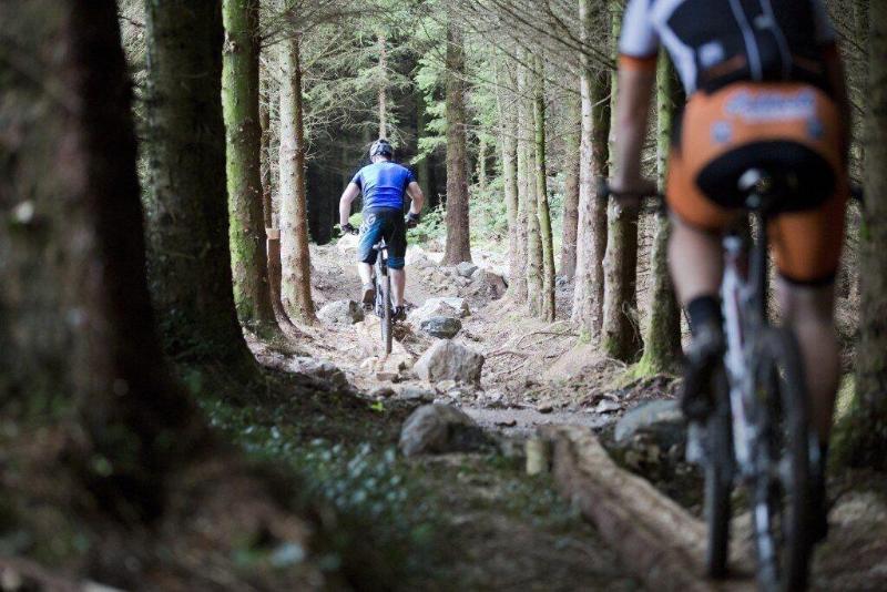 The Valley Hotel image